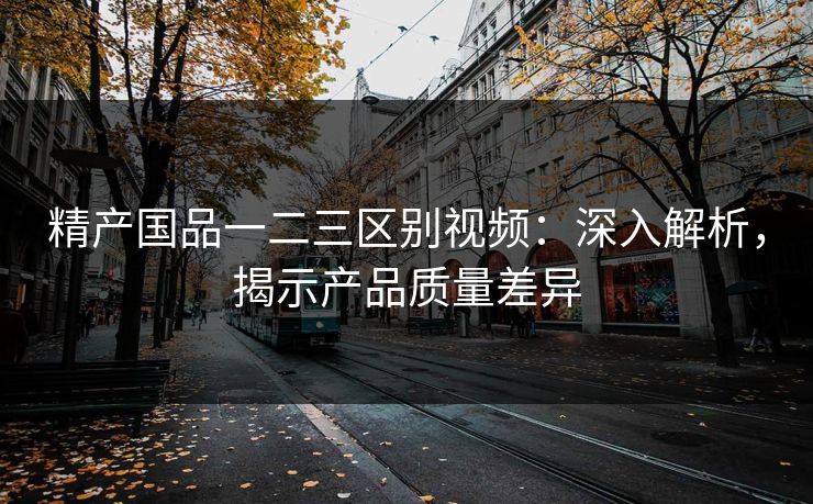 精产国品一二三区别视频：深入解析，揭示产品质量差异