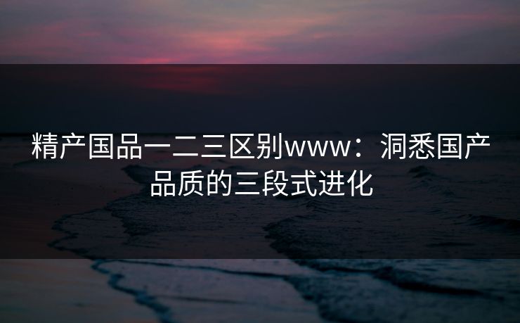 精产国品一二三区别www：洞悉国产品质的三段式进化