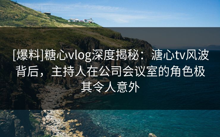[爆料]糖心vlog深度揭秘：溏心tv风波背后，主持人在公司会议室的角色极其令人意外